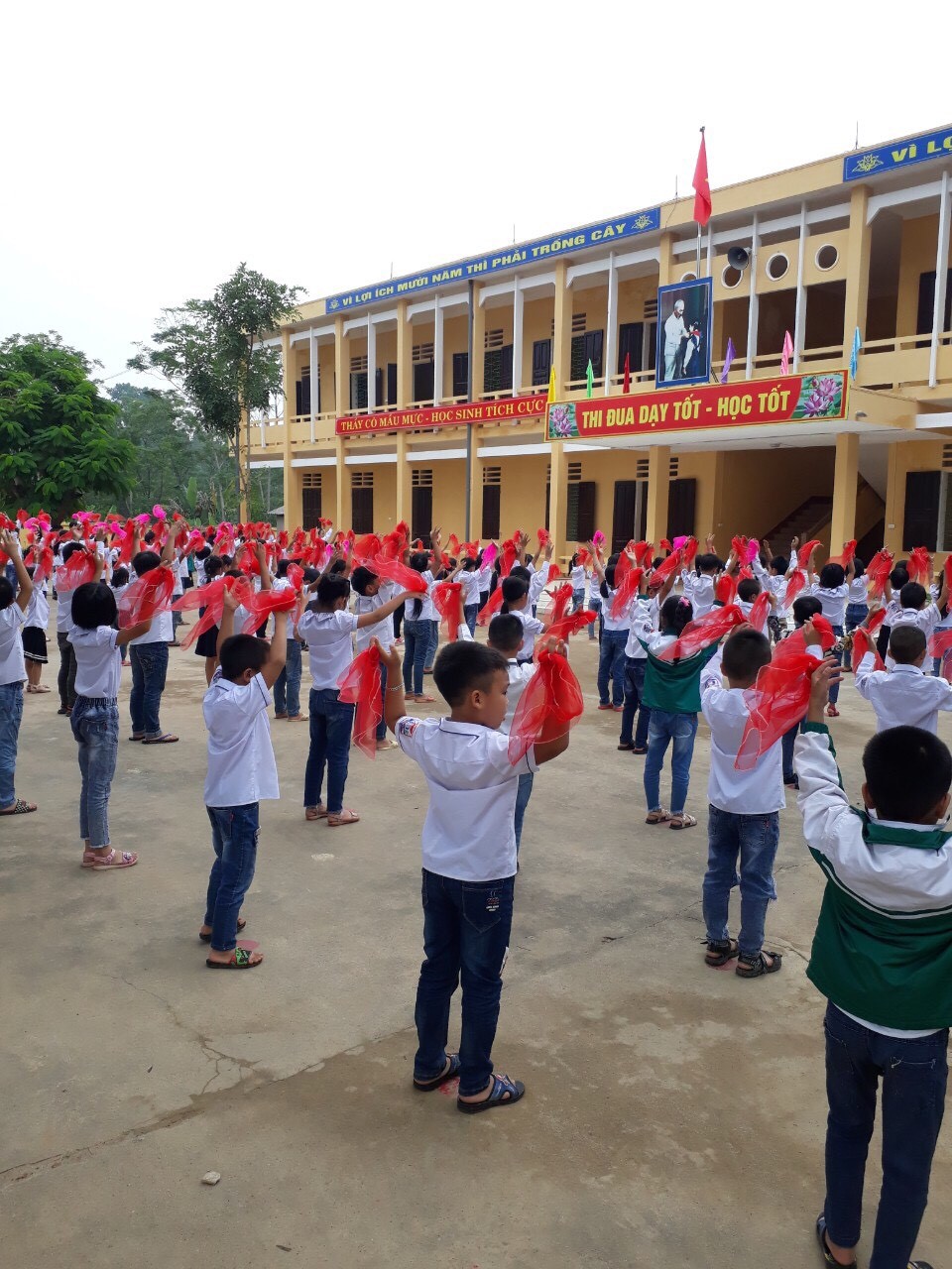 Đánh giá trường tiểu học linh đông